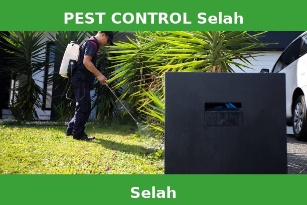 PEST CONTROL Selah